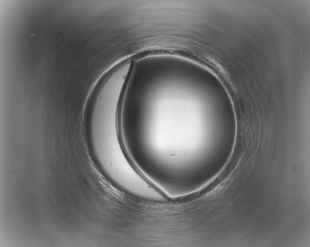 X0000070210779200606091623