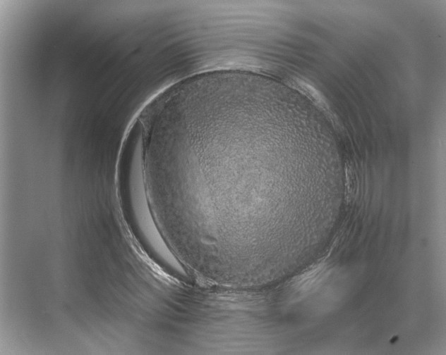 X0000070210780200606091623