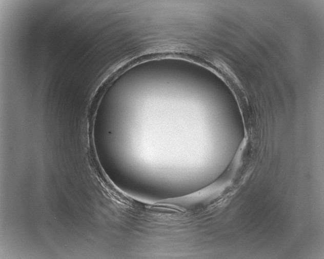 X0000070210781200606091623