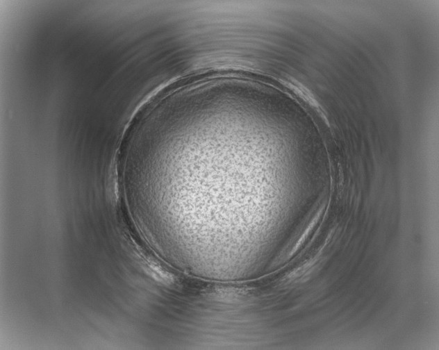 X0000070210782200606091623