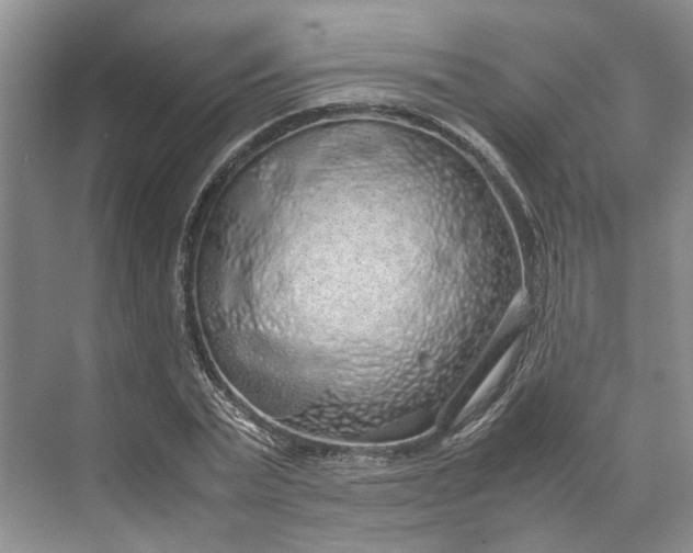 X0000070210783200606091623