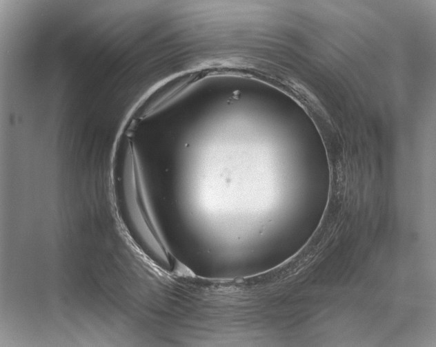 X0000070210784200606091623