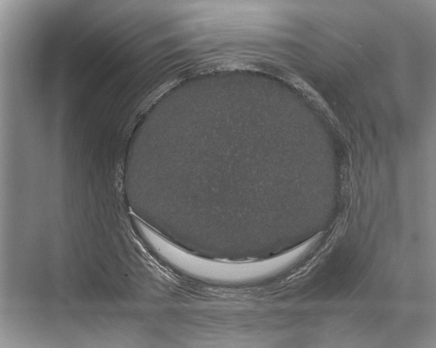 X0000070210785200606091623