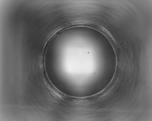 X0000070210786200606091623