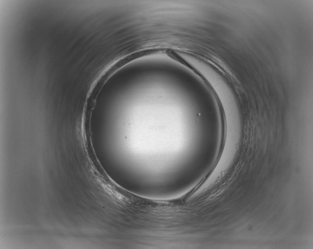 X0000070210788200606091623