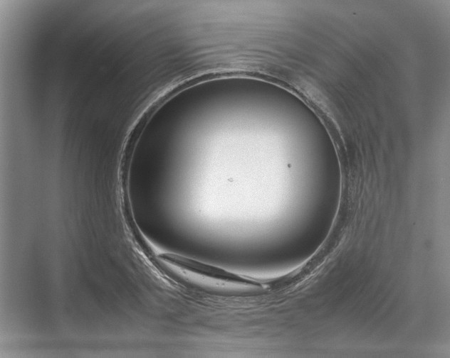 X0000070210789200606091623