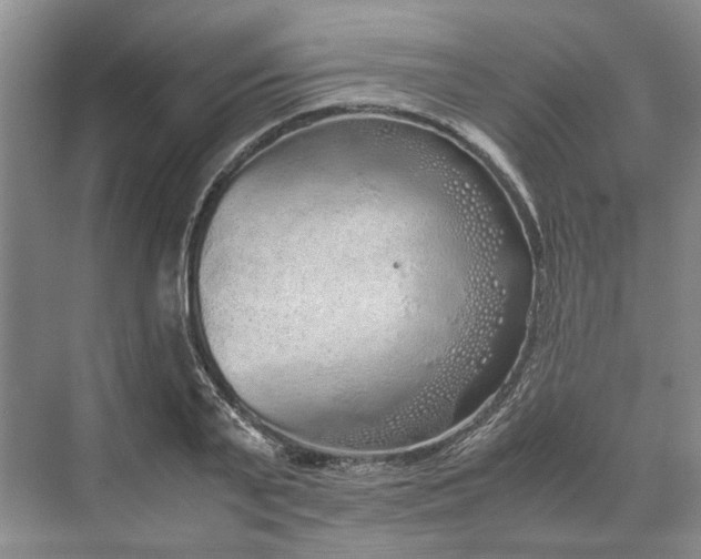 X0000070210791200606091623