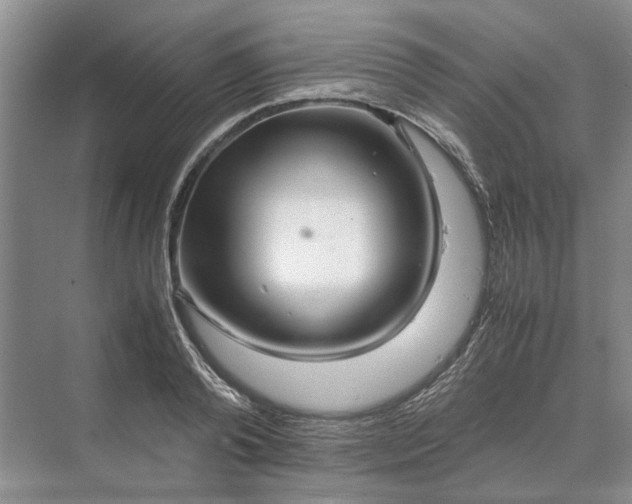 X0000070210792200606091623