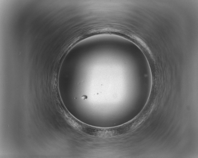 X0000070210793200606091623