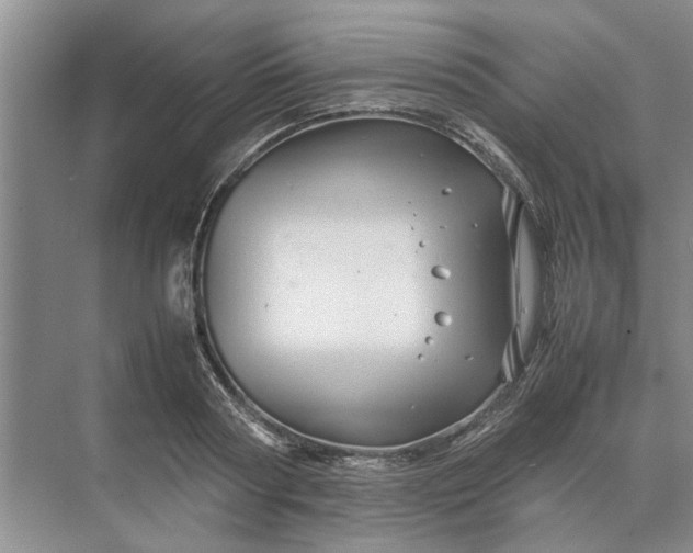 X0000070210794200606091623