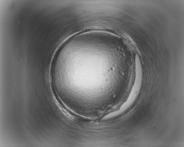 X0000070210795200606091623