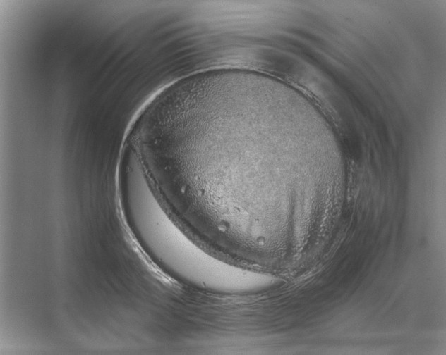 X0000070210796200606091623