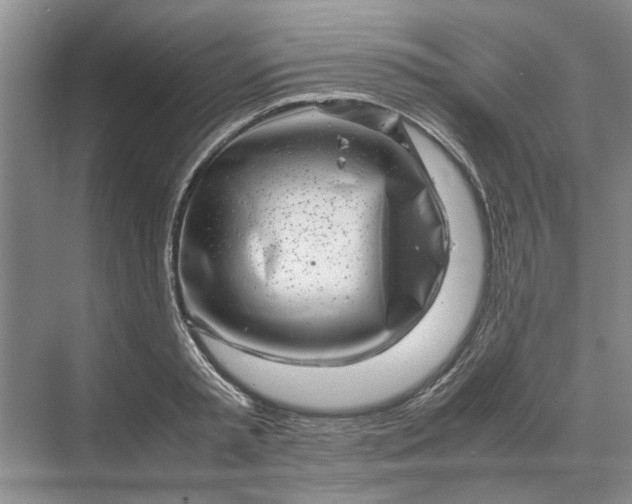 X0000070210797200606091623