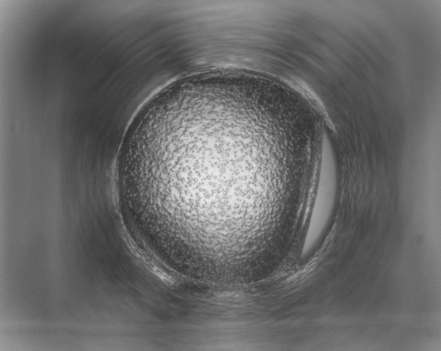 X0000070210798200606091623