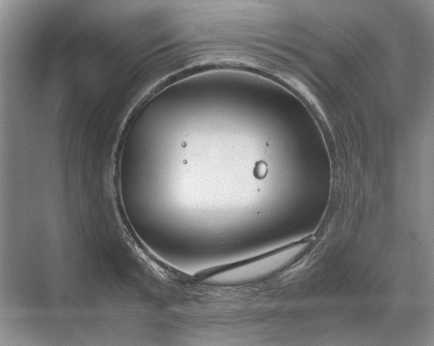 X0000070210799200606091623