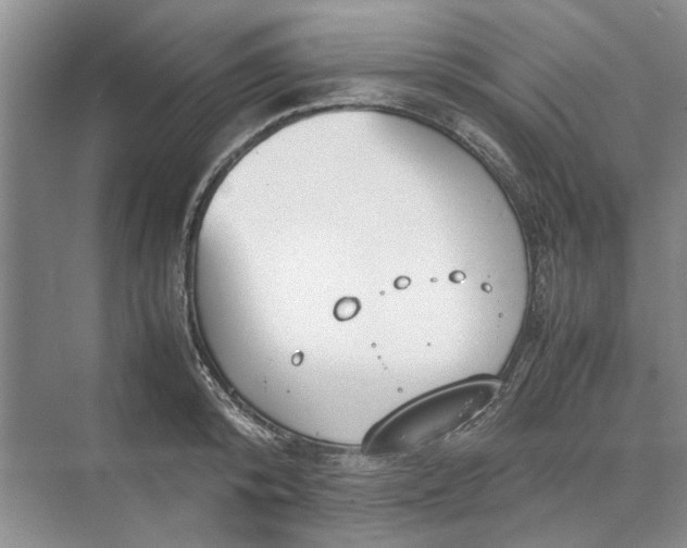 X0000070210800200606091623