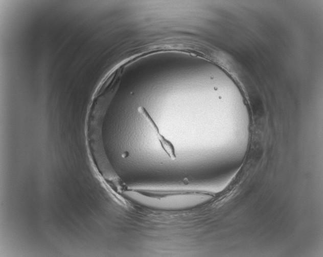 X0000070210803200606091623