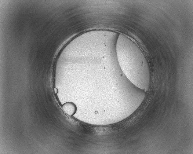 X0000070210804200606091623