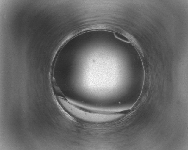 X0000070210805200606091623