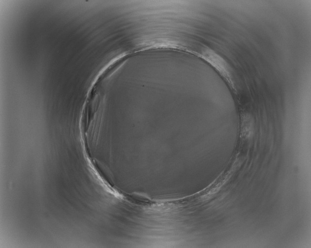 X0000070210806200606091623