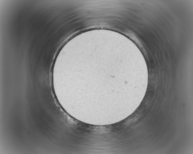 X0000070210807200606091623