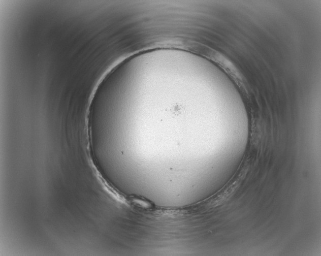 X0000070210808200606091623