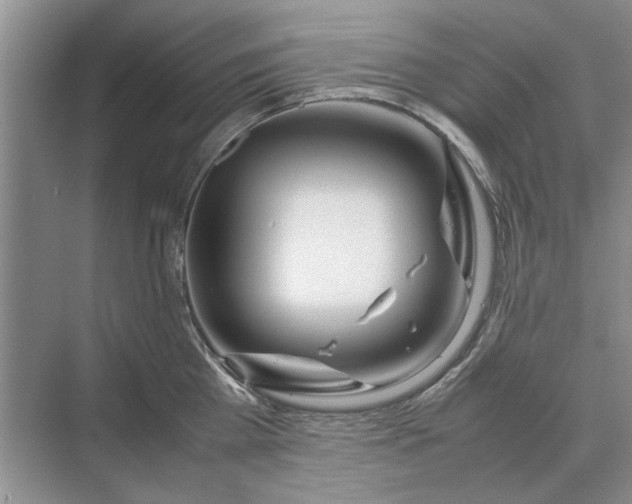 X0000070210809200606091623