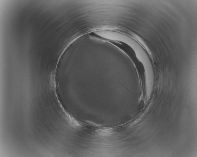 X0000070210810200606091623