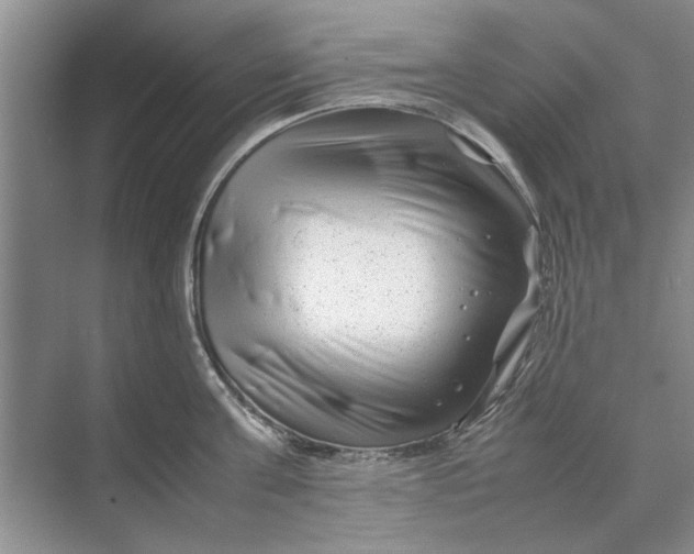 X0000070210811200606091623