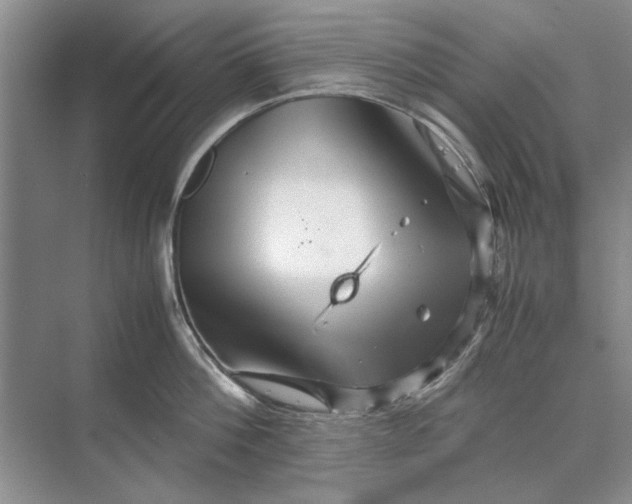 X0000070210812200606091623