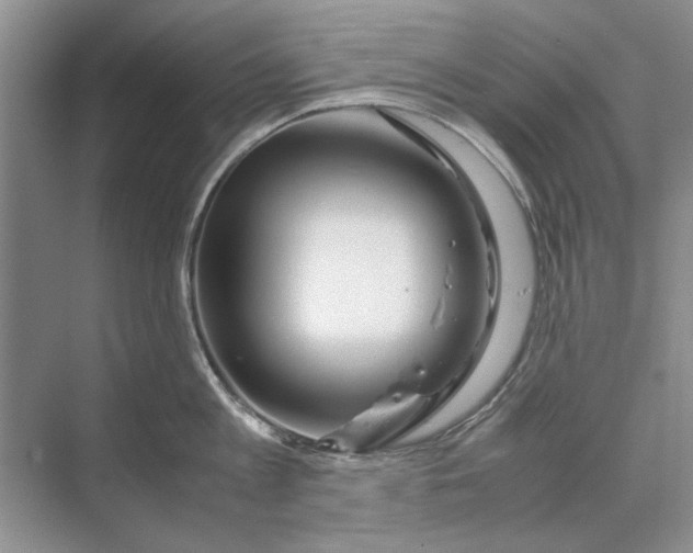 X0000070210813200606091623