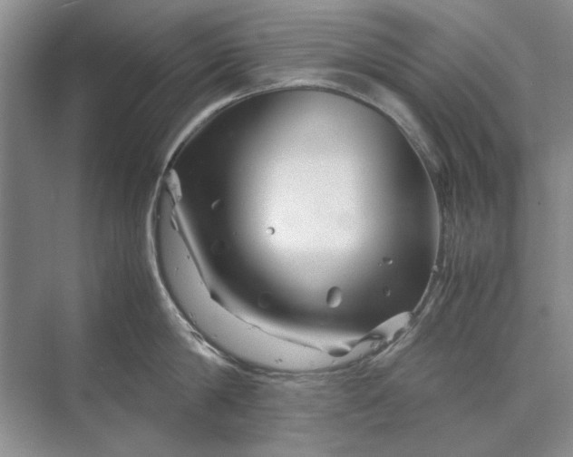 X0000070210814200606091623