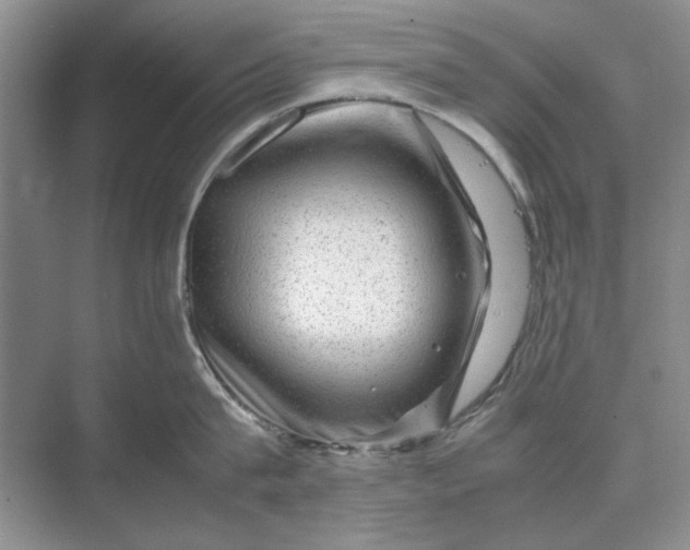 X0000070210815200606091623