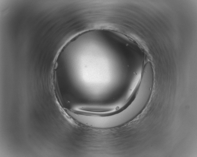 X0000070210816200606091623