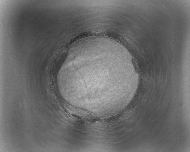 X0000070210817200606091622