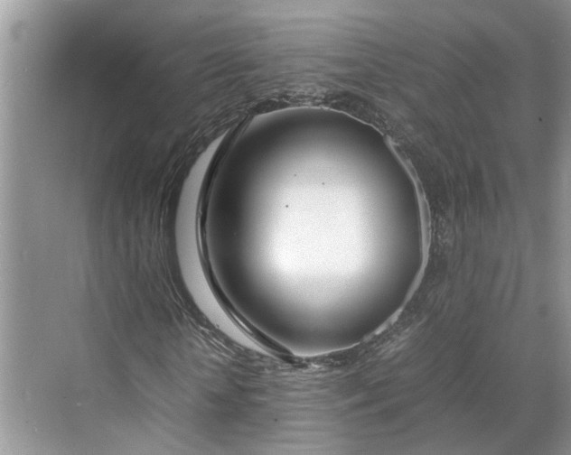 X0000070210818200606091622