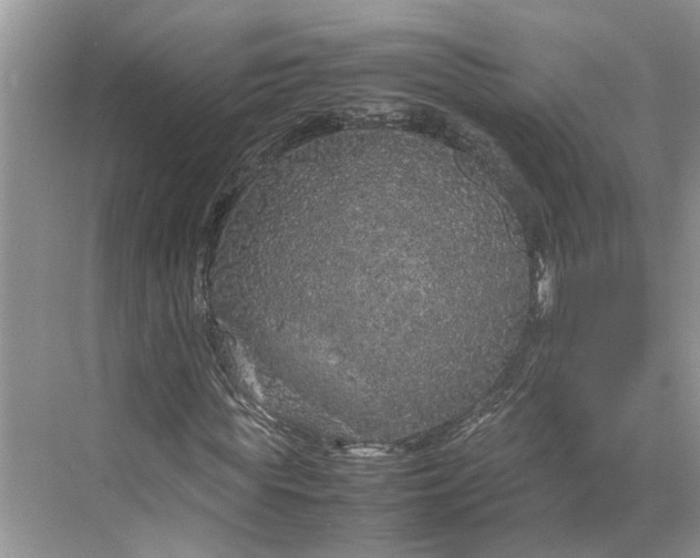 X0000070210819200606091622