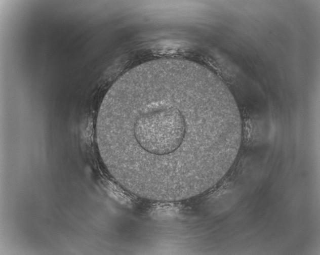 X0000070210820200606091622