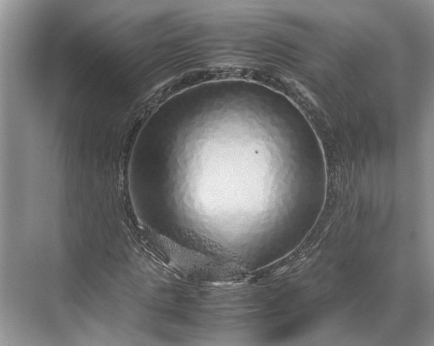 X0000070210821200606091622