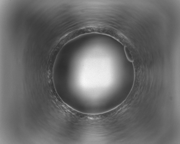 X0000070210822200606091622