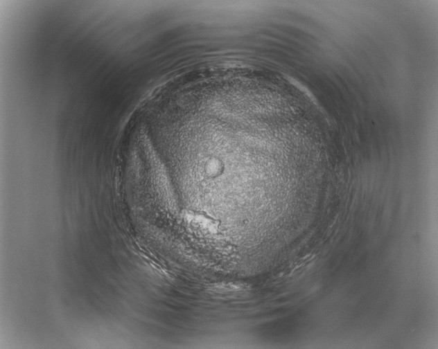 X0000070210823200606091622