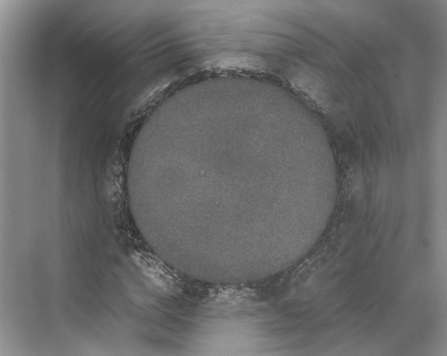 X0000070210824200606091622