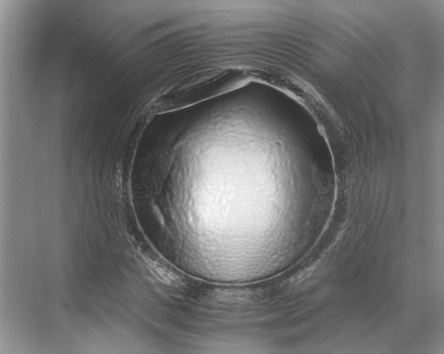 X0000070210825200606091622