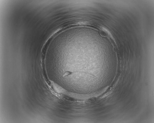 X0000070210827200606091622