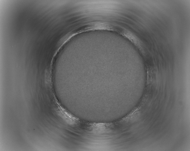 X0000070210828200606091622