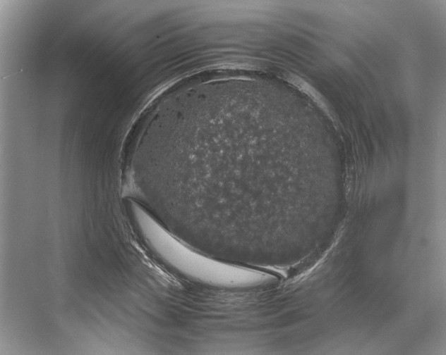 X0000070210829200606091622