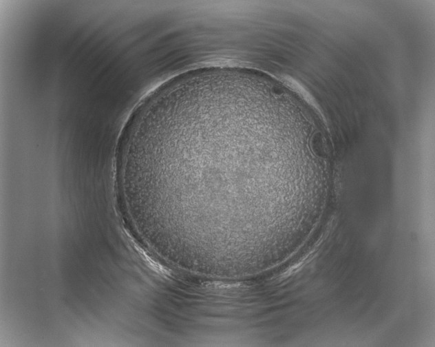 X0000070210831200606091622