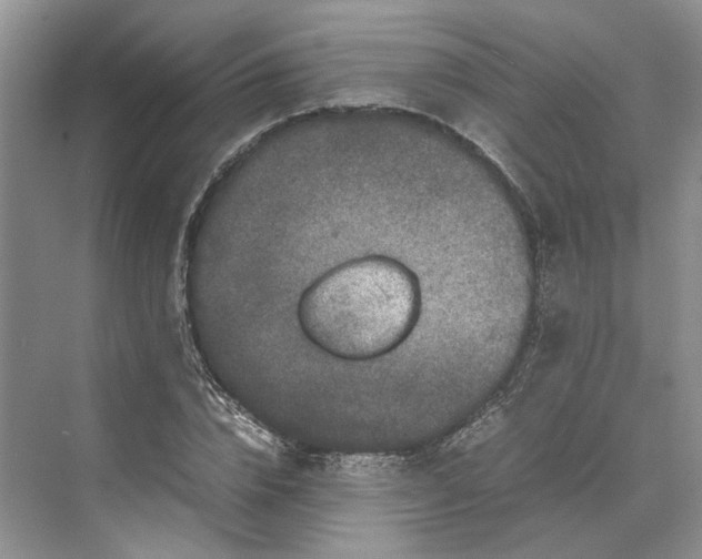 X0000070210832200606091622