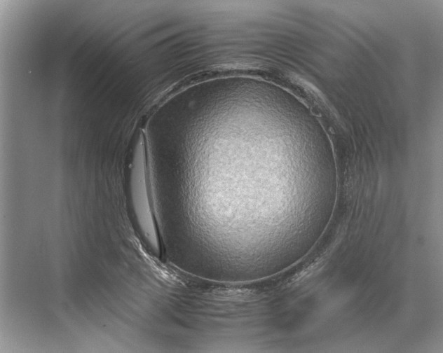 X0000070210833200606091622