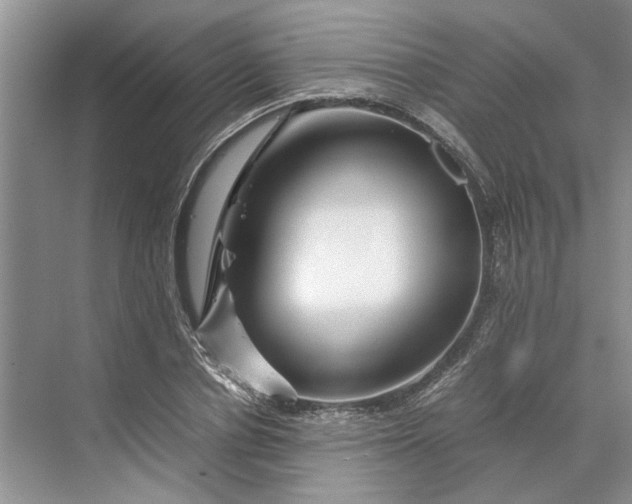 X0000070210834200606091622